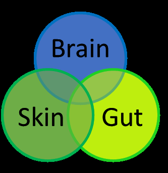 Brain_Skin_Gut-600x618